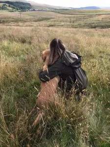 A sweet yellow Labrador puppy with a gentle expression