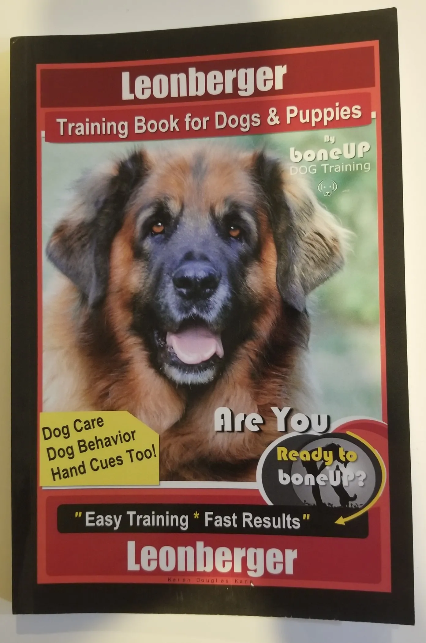 A trained dog performing a command, representing effective dog training techniques and the positive outcomes of expert guidance from professionals like Asia Moore Dog Whisperer.