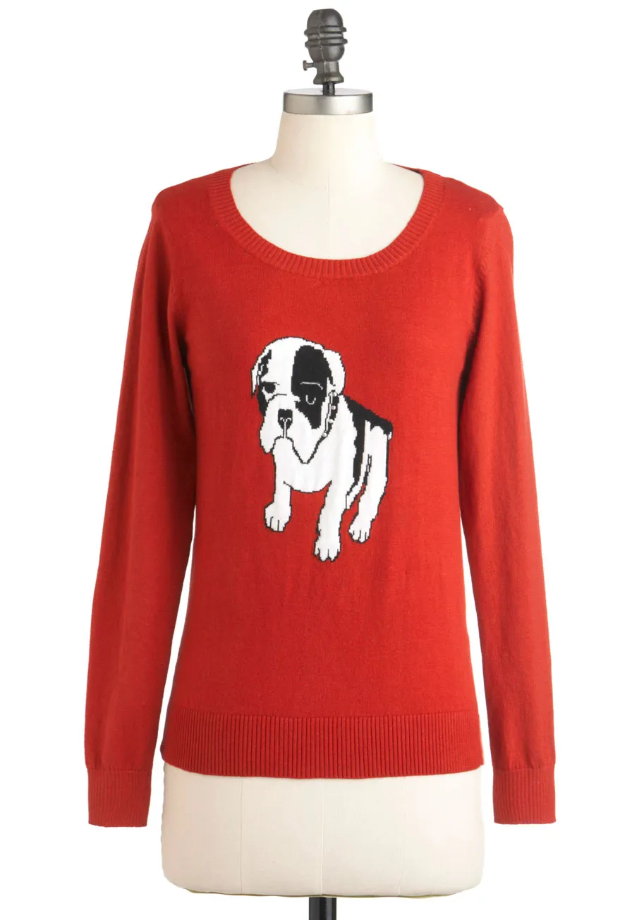 A trendy sweater with a dog design