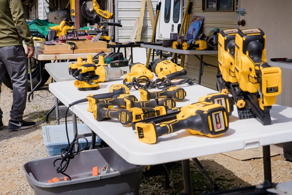 A veterinarian examining a Yorkshire Terrier puppy, highlighting the importance of regular health checks.