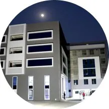 A vigilant Treeing Walker Coonhound standing alert in a forest, its gaze fixed on something in the distance, embodying its keen hunting instincts.