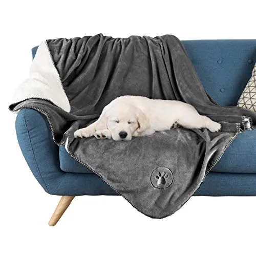 A waterproof pet blanket.