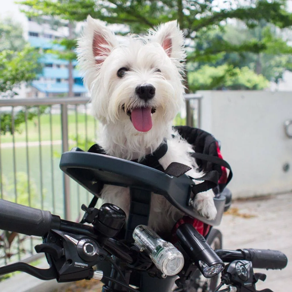 A West Highland White Terrier enjoying a comfortable and secure ride in a Buddyrider dog bike carrier, demonstrating ideal pet positioning for cycling trips in the UK.