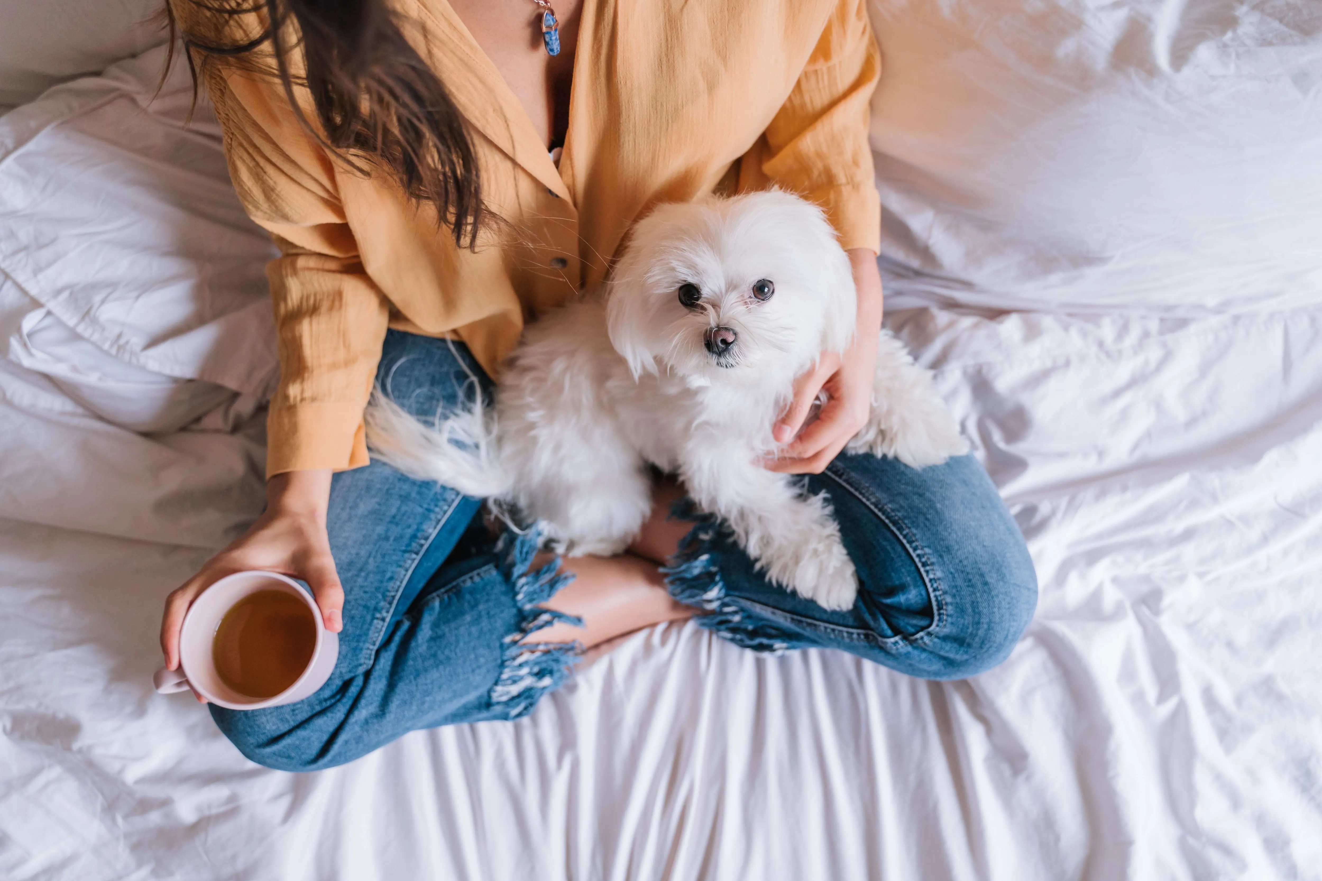 A woman holding a white Maltese dog on a bed