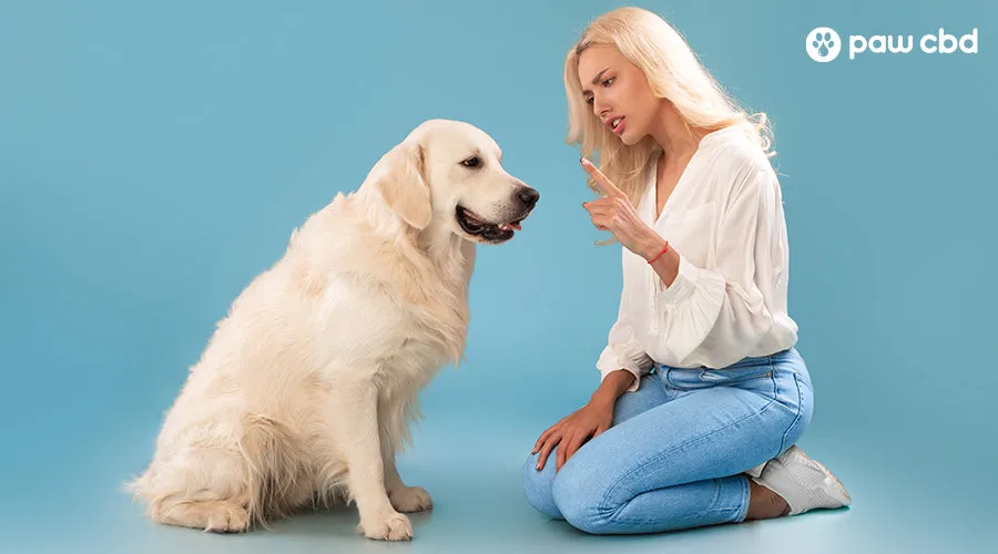 A woman sitting down on her knees pointing at her dog that is sitting down