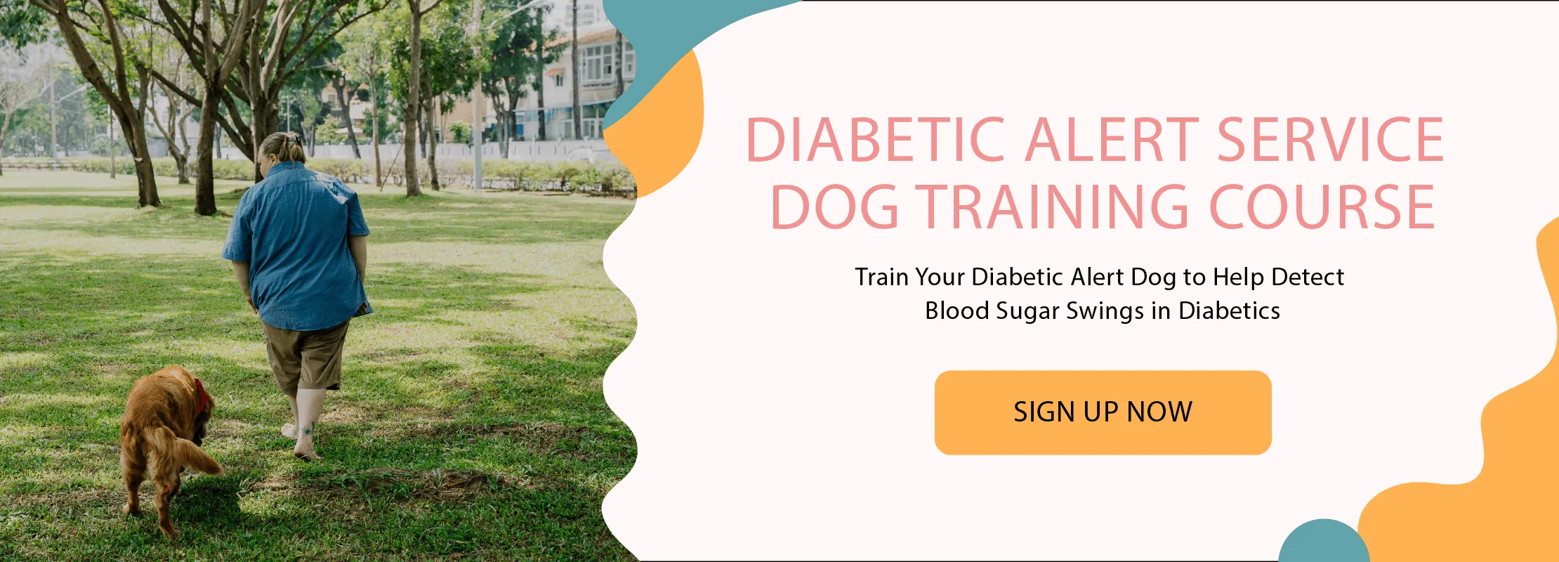 A woman with her diabetic alert dog, a golden retriever, sitting on a park bench.