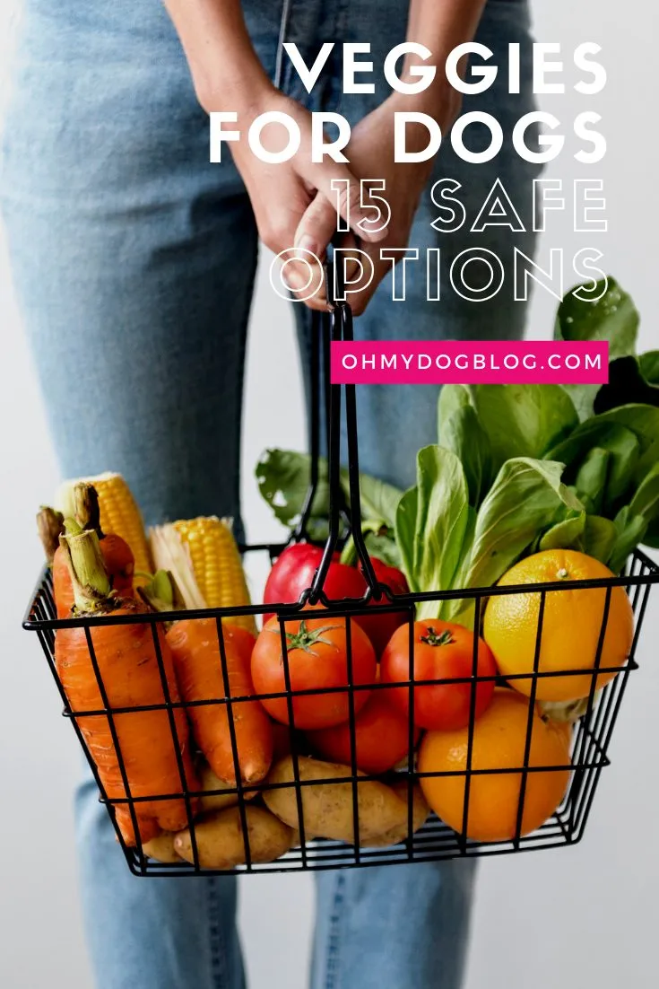A woman's lower legs are shown wearing faded blue jeans, holding a wire basket filled with carrots, corn, tomatoes, potatoes, red peppers, spinach, and oranges.