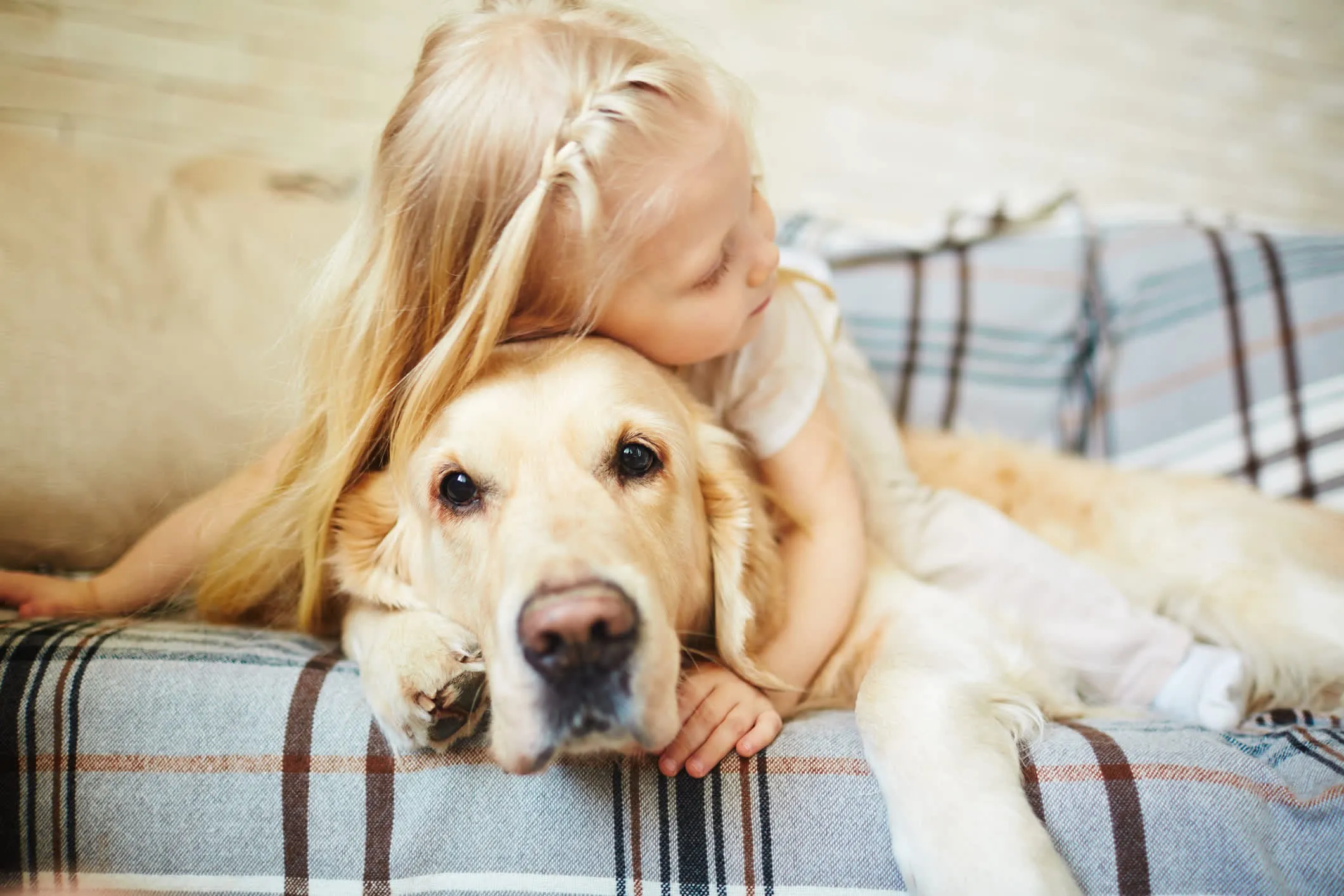 A young blonde girl gently hugging a Golden Retriever dog, showing affection and companionship.