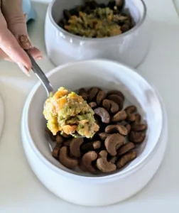 Adding generous spoonfuls of homemade dog food to a bowl