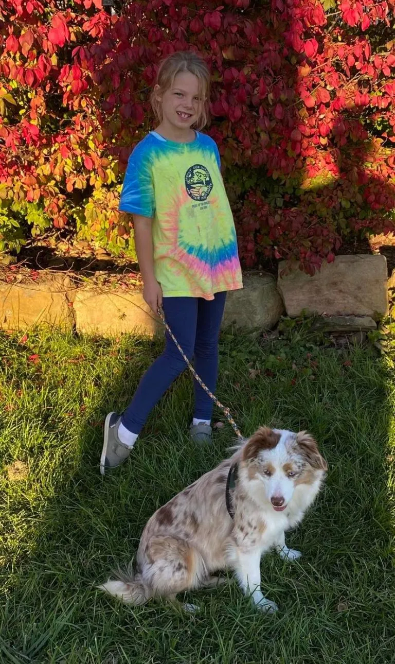 Adorable mini Aussie puppy with a long, fluffy tail sitting in grass