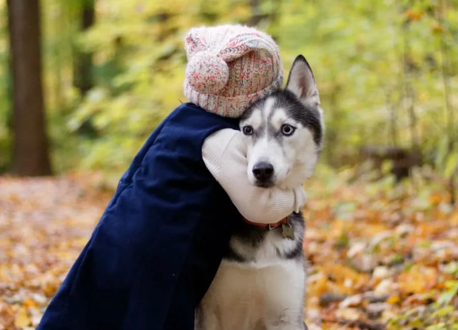 Adorable puppy snuggles with a child, showing the heartwarming bond and funny dog moments