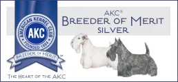 AKC Advanced Level Breeder of Merit Silver emblem, signifying a commitment to ethical breeding standards