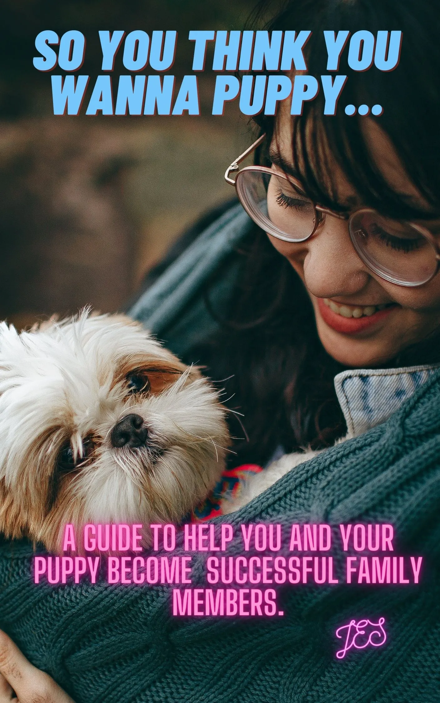 An adorable rough coat Jack Russell Terrier puppy with playful eyes, representing the quality American-European lines.