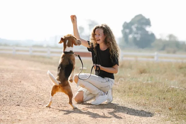 An enthusiastic woman teaching her dog to "beg" for a treat.