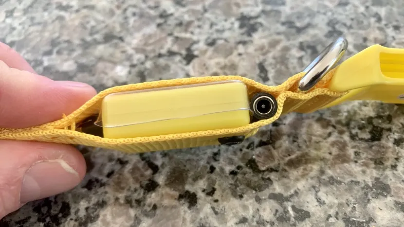 An Illumiseen LED collar, highlighting that collars with electronics cannot be machine washed or submerged in water.