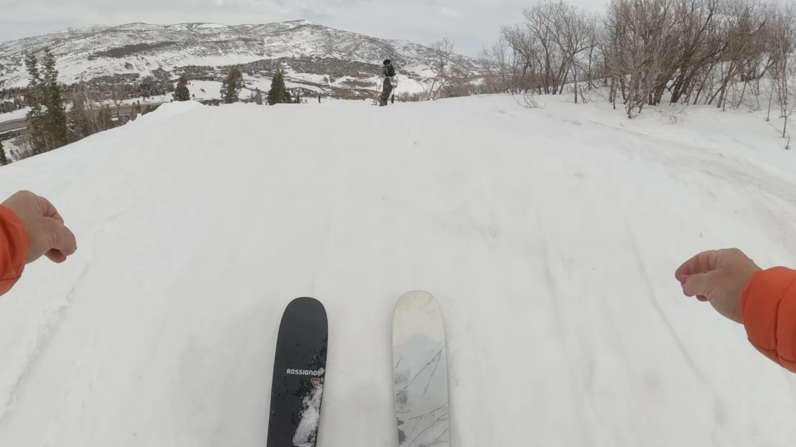 An older dog and its owner attentively listening to a professional dog trainer outdoors, symbolizing expert guidance.
