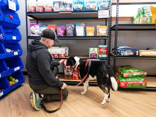 An owner with their senior dog browsing a pet food shelf, symbolizing the importance of proper nutrition for adopted older dogs in Minnesota.