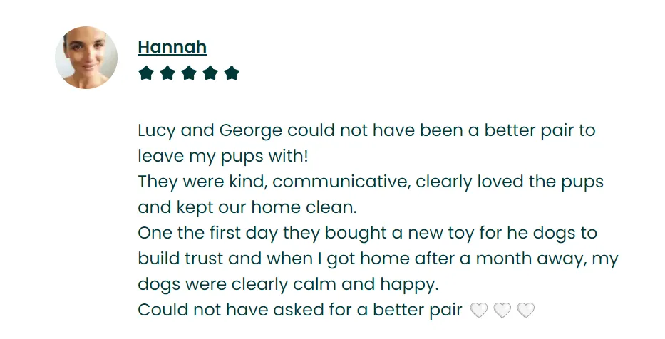 Another 5-star review I received on TrustedHousesitters looking after two dogs in London