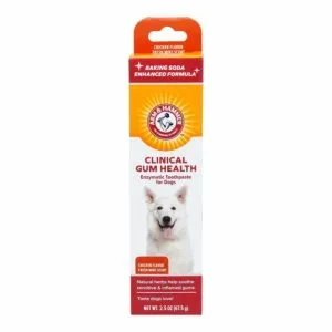 Arm &amp; Hammer Clinical Gum Health Enzymatic Toothpaste