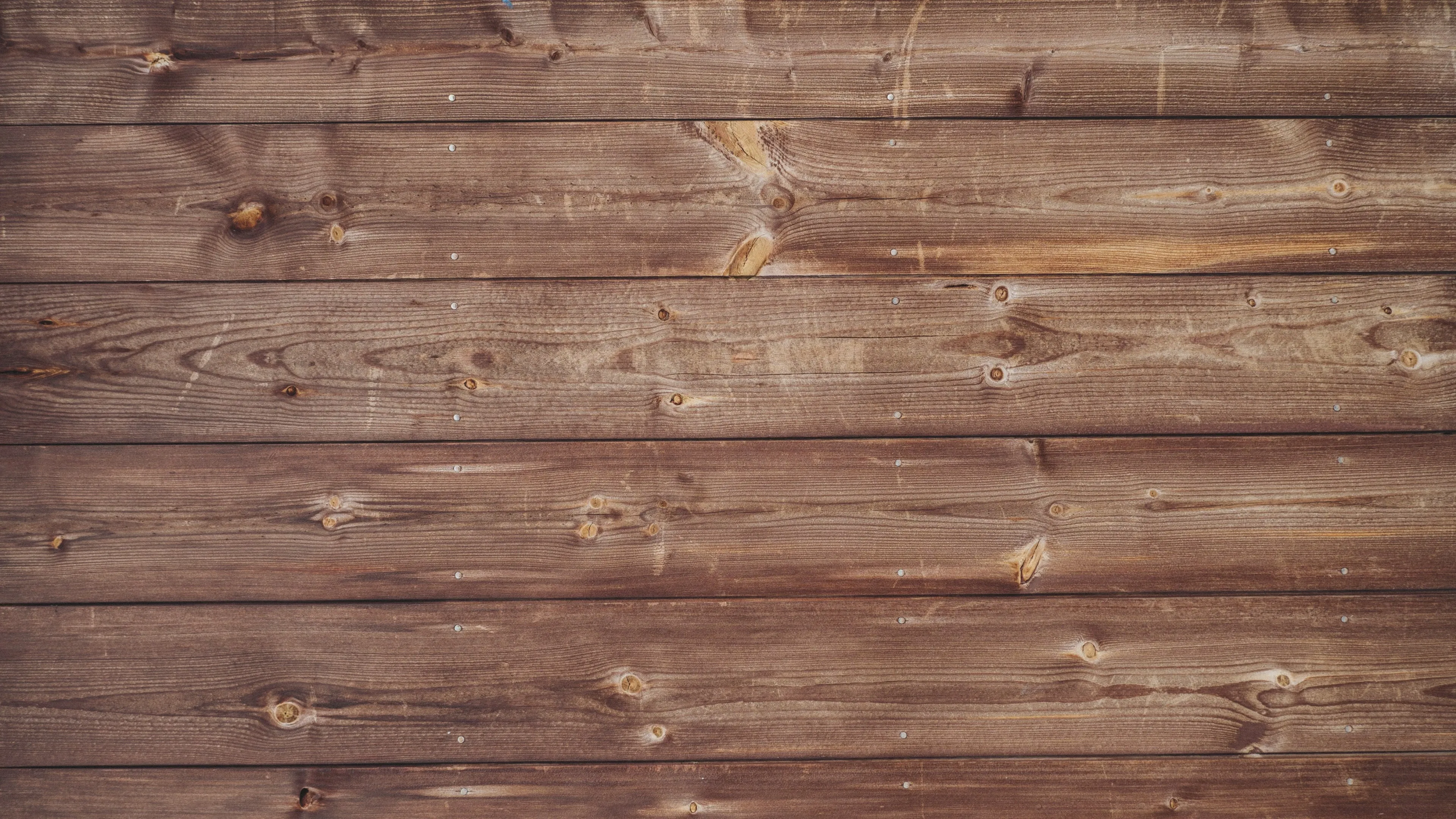 Assortment of durable reflective dog collars in various colors