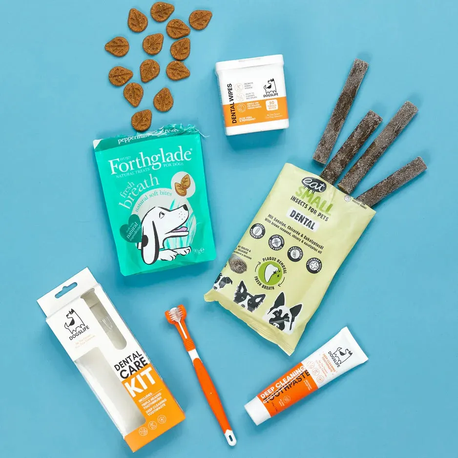 Assortment of fresh breath dog dental treats, a complementary item to the best dog toothbrush chew toy UK