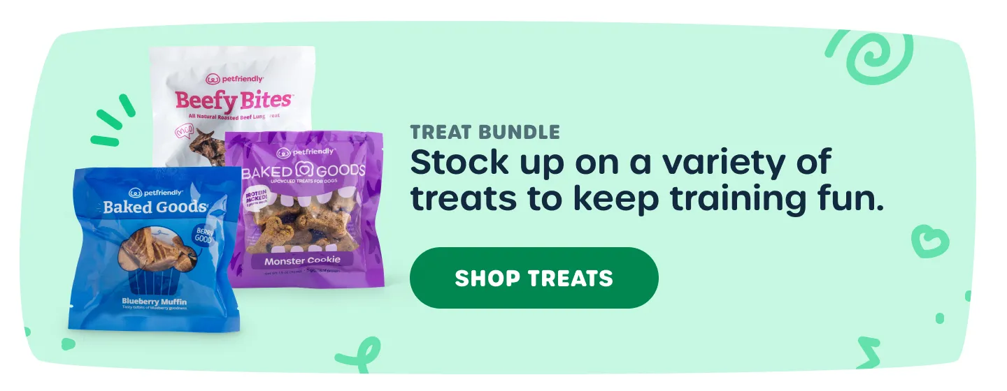 Assortment of tasty treats for rewarding your puppy