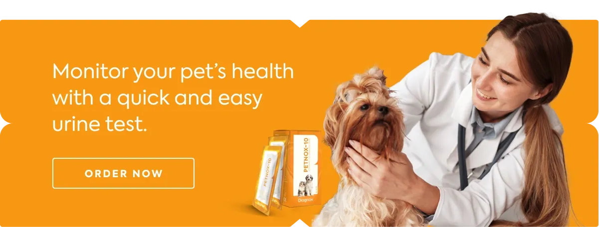 At-home urine test strips for pets, useful for monitoring urinary health and potential UTIs.