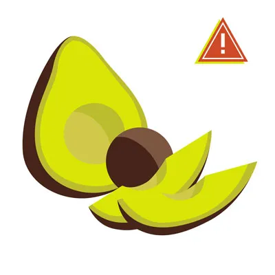 Avocado fruit with a seed, which puppies should not eat
