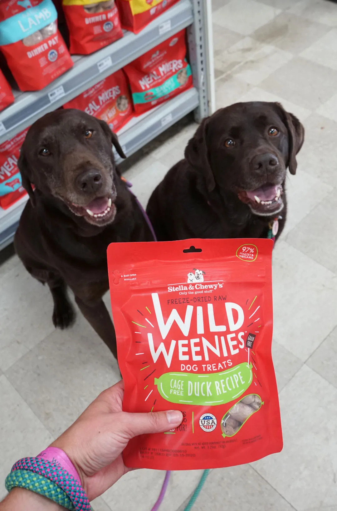 Bags of Stella &amp; Chewy's Wild Weenies dog treats on a shelf at a nearby pet supply store