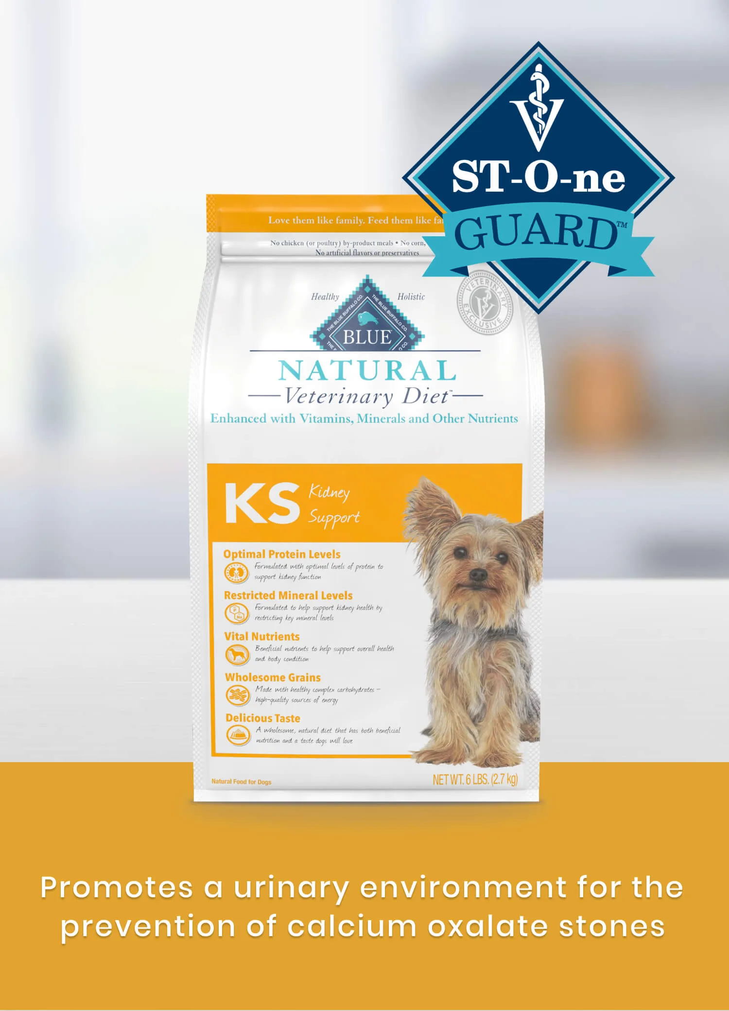 Blue Buffalo Kidney Support dry dog food bag with "Stone Guard" label, promoting urinary health and preventing calcium oxalate stones.