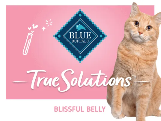 Blue True Solutions Digestive Care Chicken & Barley Recipe Cat Dry Food