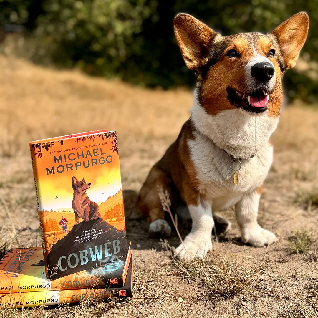 Book cover for 'Cobweb', the latest michael morpurgo dog book, featuring an illustration of a corgi puppy in a pastoral setting.