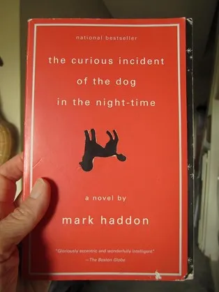 Book cover of The Curious Incident of the Dog in the Night-Time featuring a dog silhouette under a starry sky, symbolizing the mysterious and central role of the canine in the narrative.