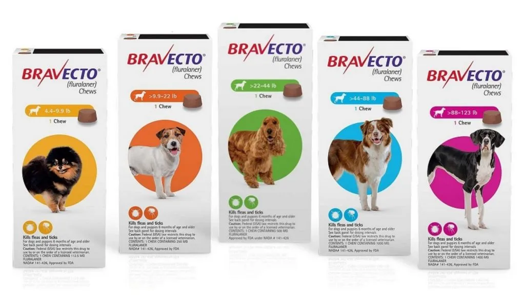 Bravecto flavored chewable providing long-lasting flea and tick protection for dogs.