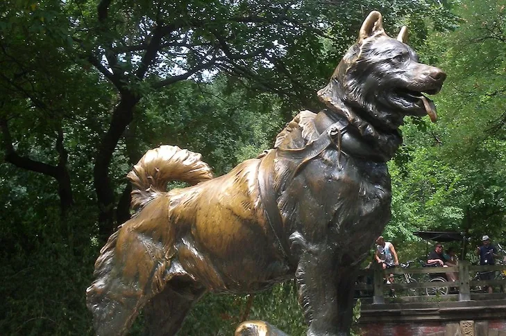 Bronze statue of the real Balto dog in New York City's Central Park, commemorating the heroic sled dog