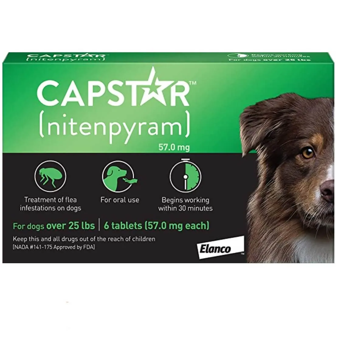 Capstar Fast-Acting Oral Flea Treatment for Dogs.
