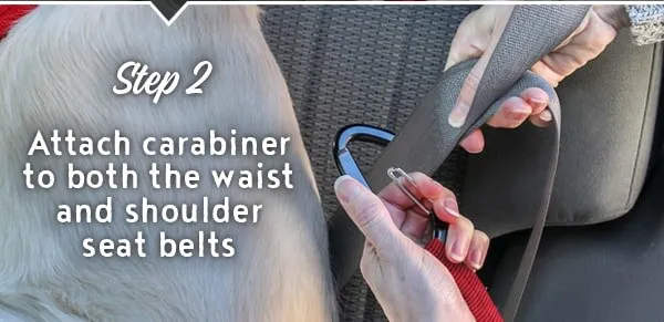 Carabiner clip attached to both lap and shoulder straps of a car seat belt