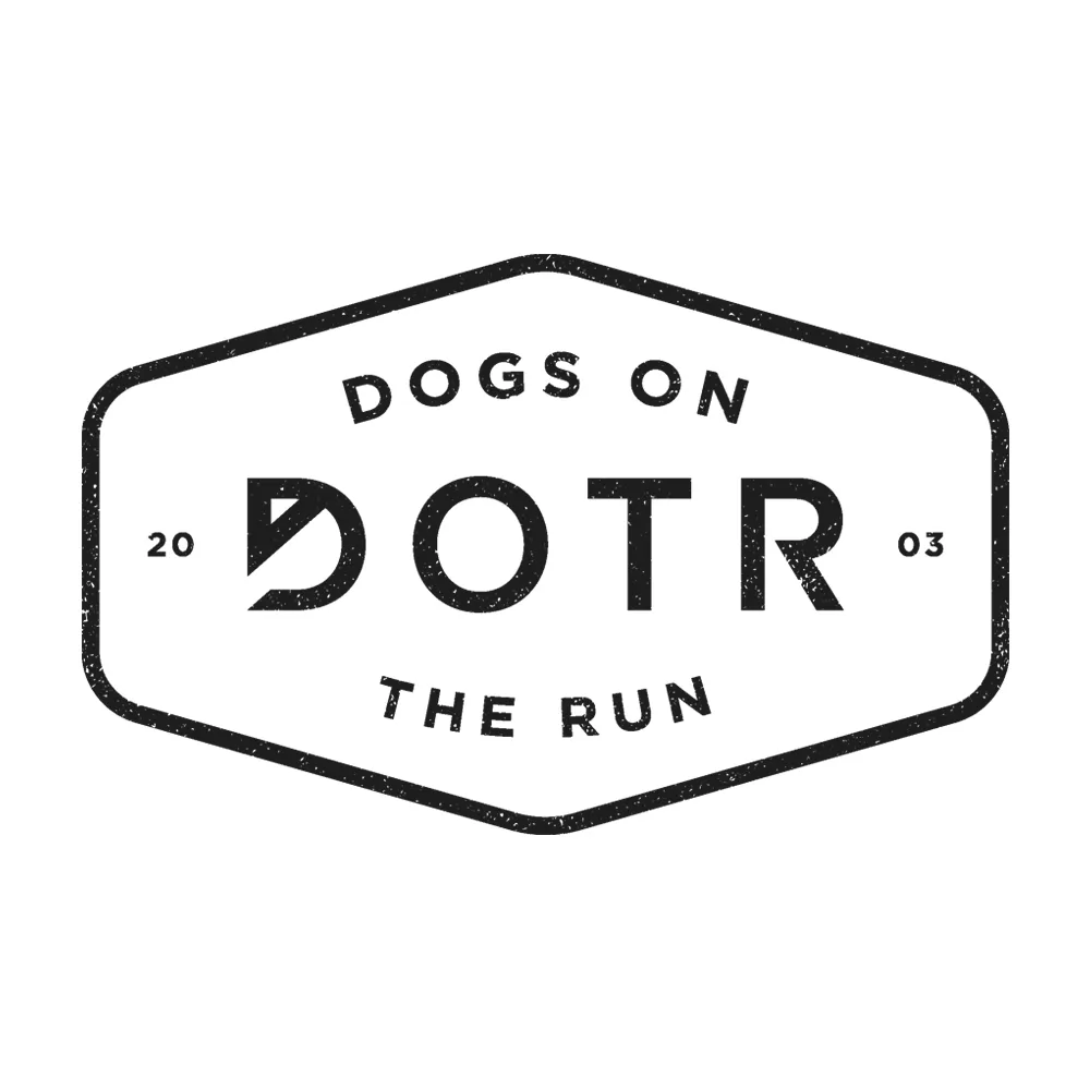 Caring professional dog sitter on a walk with two happy dogs in Tampa