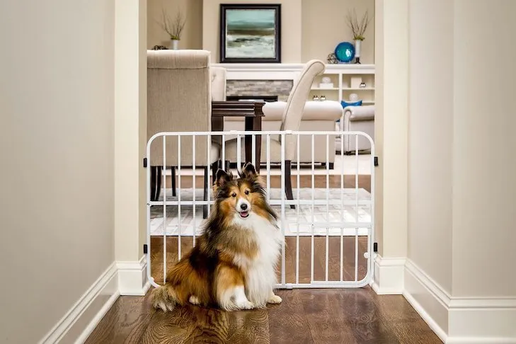 Carlson Tuffy Expandable Puppy Gate with small pet door for easy access