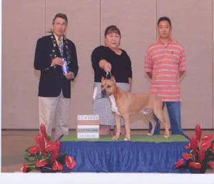 Champion Bettis completing his major win for his title