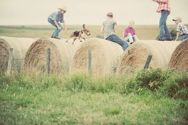 Charlie the Basset Hound joyfully running across the ranch after his adventurous leap.