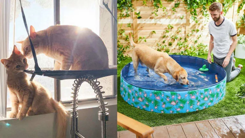 Chewy offers a vast selection of pet products and services.