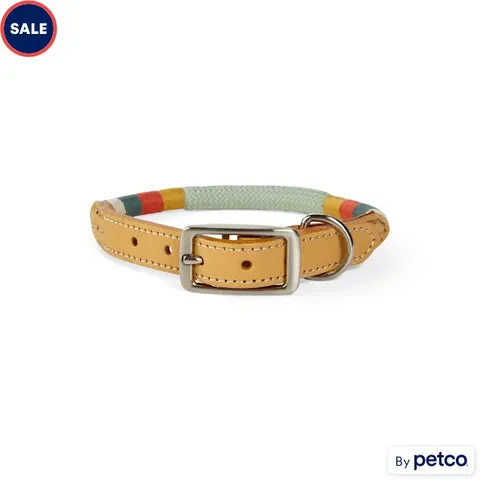 Chic rope and leather dog collar