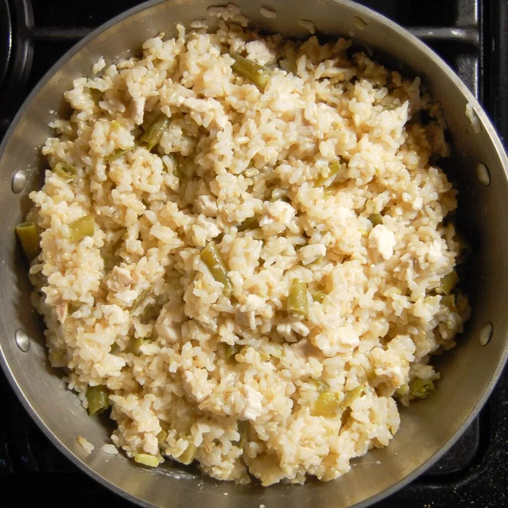 chicken and rice for dogs with cut up green beans and chicken breast stirred together