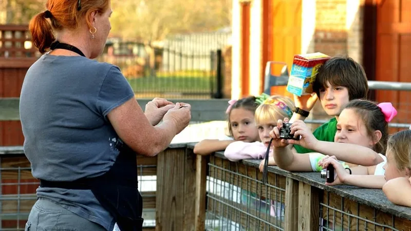 Children engaged in a home school program at a wildlife park
