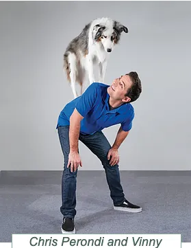 Chris Perondi performing with his trick dog, Vinny, showcasing skills from their dog trick training book