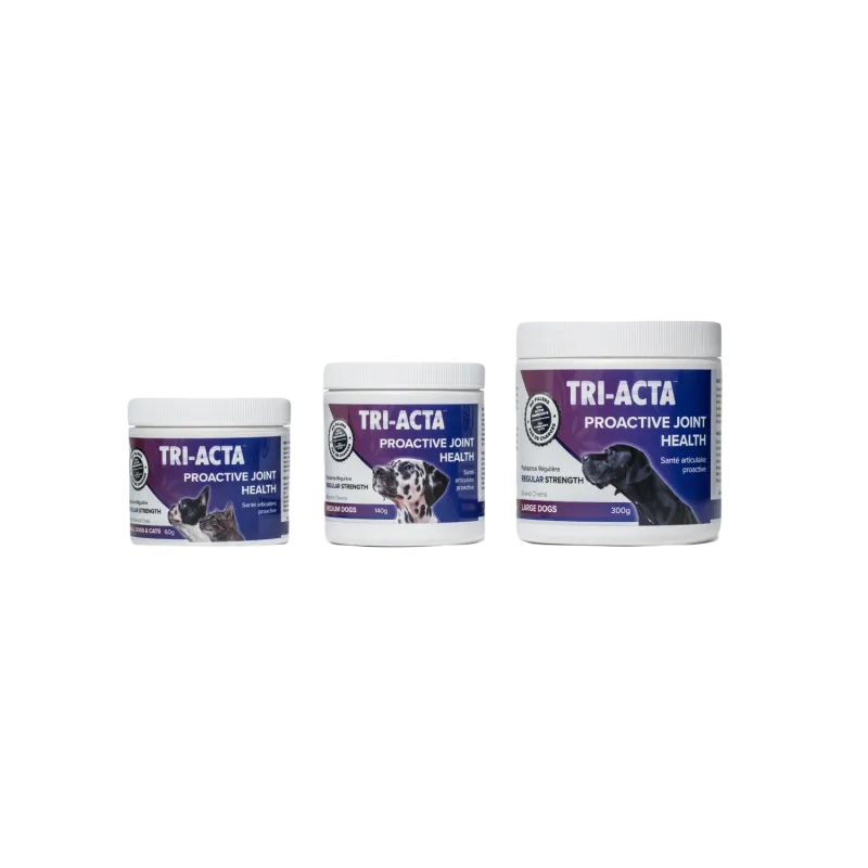 Cliick_Integricare_TriActa-Purple_Group-e1635812797952