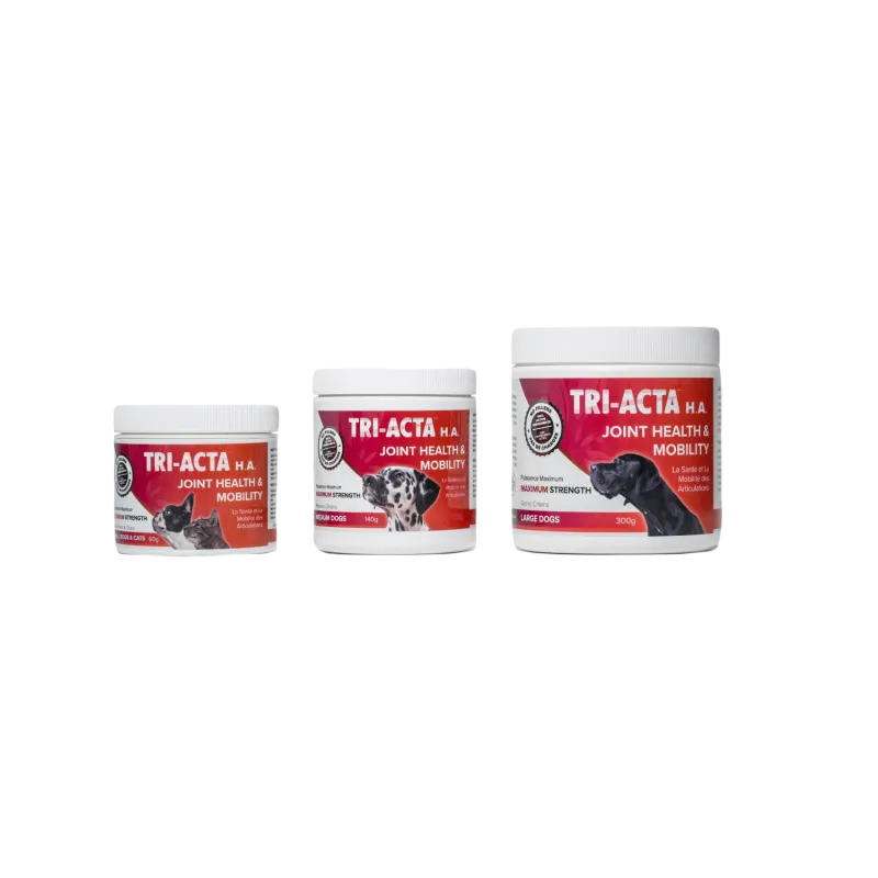 Cliick_Integricare_TriActa-Red_Group-e1635812590118-Jun-16-2022-06-29-20-17-PM