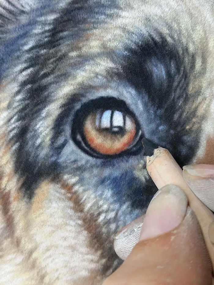 Close-up of a German Shepherd drawing, highlighting the use of pastel pencils for fine fur details around the eye.