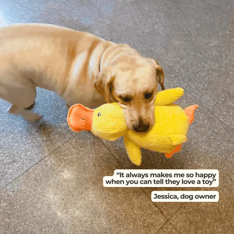 Close-up of a large yellow duck toy for dogs, showing soft texture